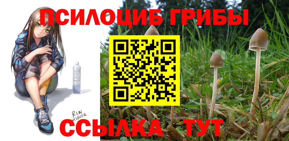 Галлюциногенные грибы ЛСД Кизляр