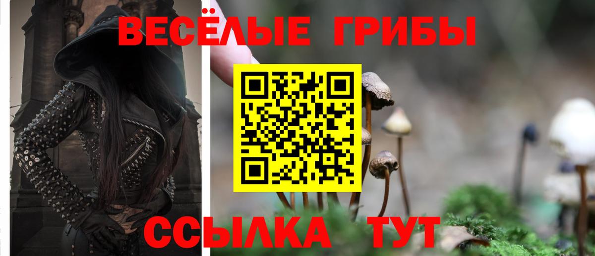Галлюциногенные грибы GOLDEN TEACHER  Вход с VPN  Кизляр 